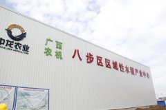 <b>贺州市八步区区域性水稻财产核心项目</b>