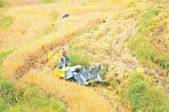 <b>宁德山区农业机械化使用取得实效 工致农机“慧</b>